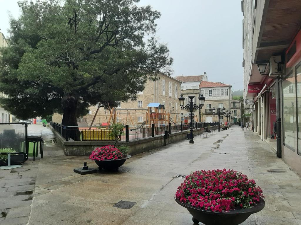 Apartamento El Parque - 2