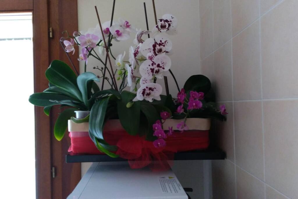 Kép CASA ORCHIDEA (Cod. IUN P9071) szállásáról Cagliariban a galériában