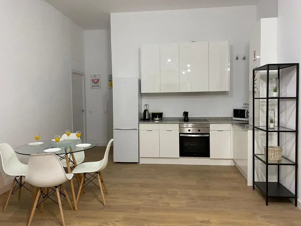 Aluche Aparment C, Madrid, Spain