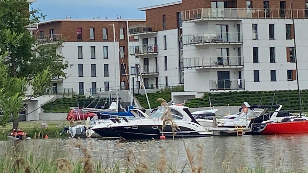 a group of boats are docked in the water at Marina “Nature” in Iława