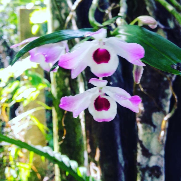  Sítio Canto das Águas