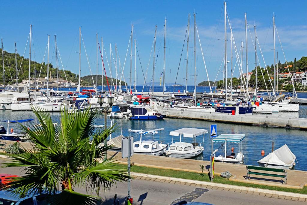 a bunch of boats docked in a marina at Luxory D-Rooms in Vela Luka