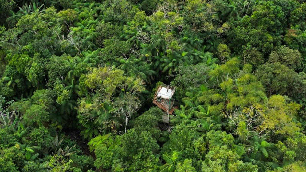  Pousada Salve Floresta