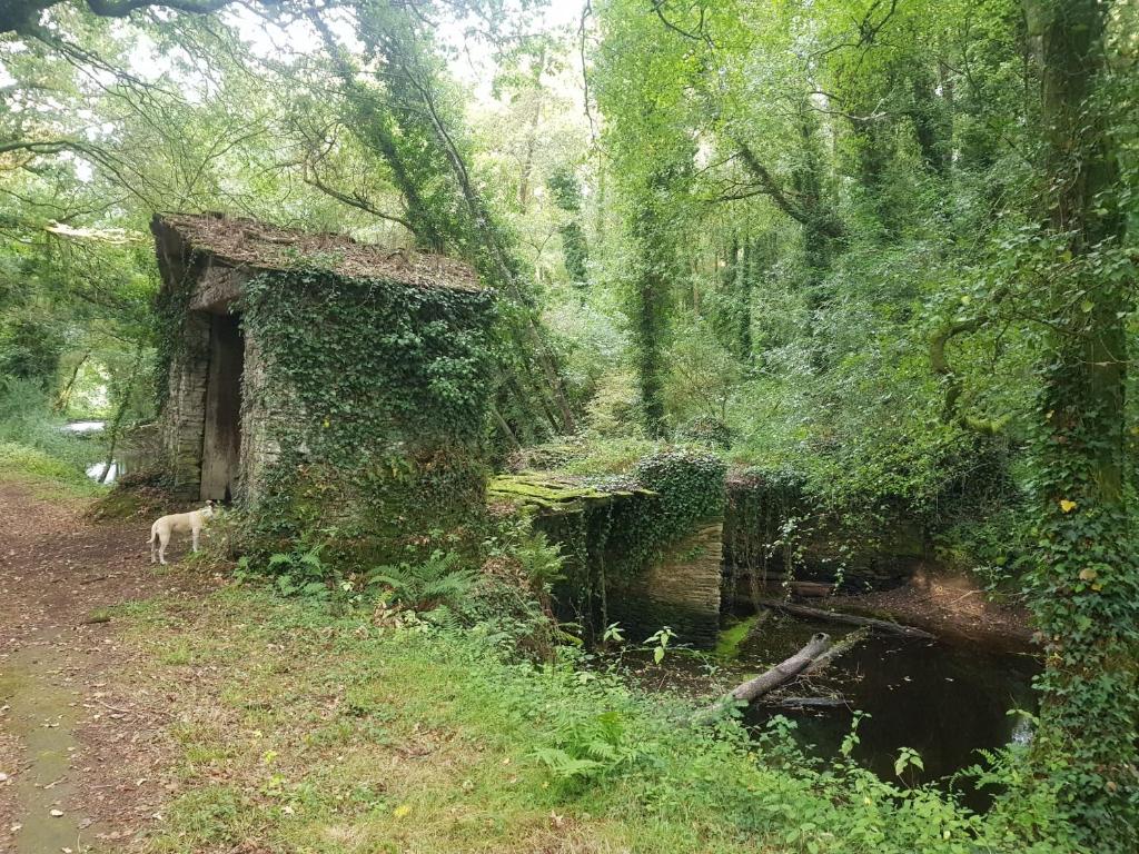 La casa del tio Antonio, Taboy – Bijgewerkte prijzen 2022