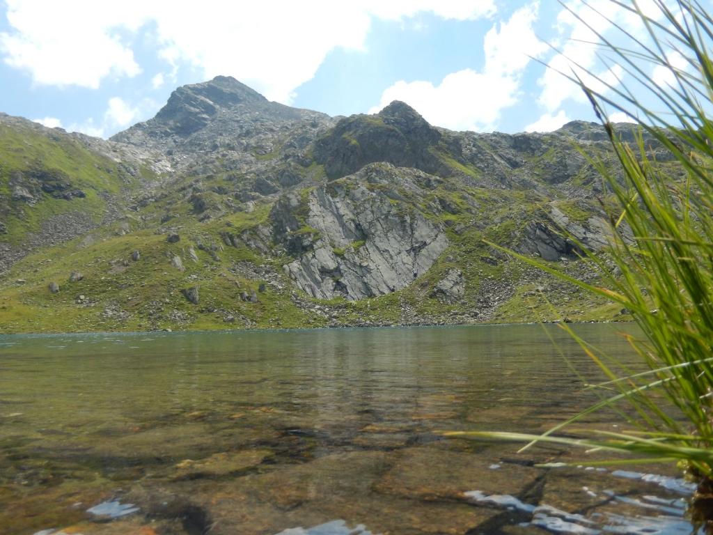 Príroda v okolí apartmánu