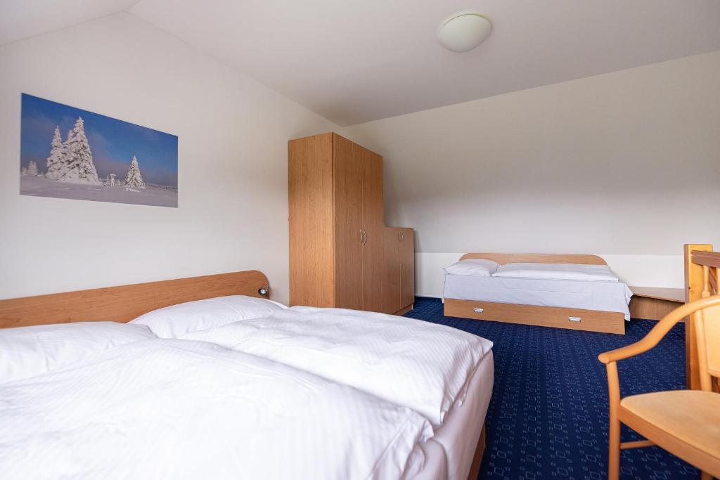 Postel nebo postele na pokoji v ubytování Apartmány Engadin