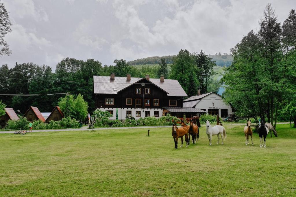 een groep paarden in een veld voor een huis bij Penzion Račí údolí in Javorník