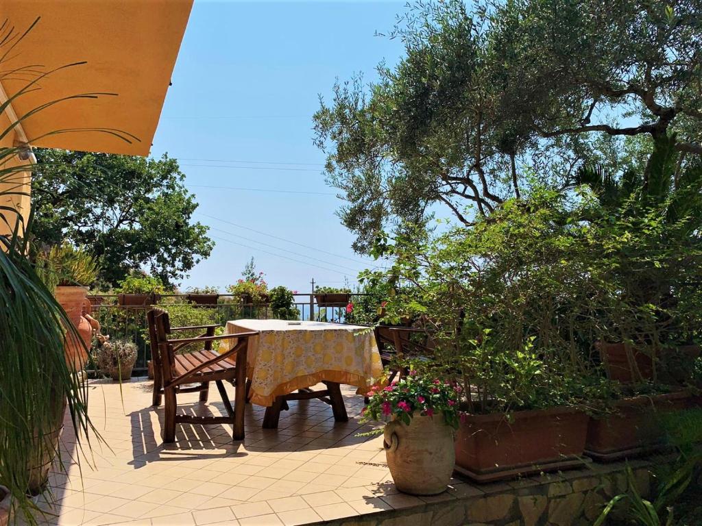 einen Tisch und eine Bank auf einer Terrasse mit Pflanzen in der Unterkunft B&B dei Fiori in Praia a Mare