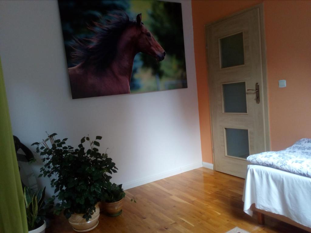 Fotografia z galérie ubytovania Noclegi Po Rosie v destinácii Busko-Zdrój