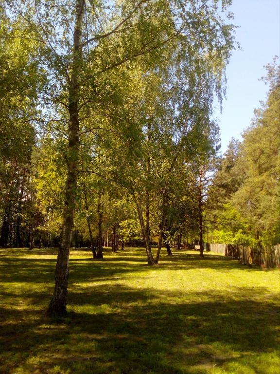 Fotografia z galérie ubytovania Noclegi Po Rosie v destinácii Busko-Zdrój