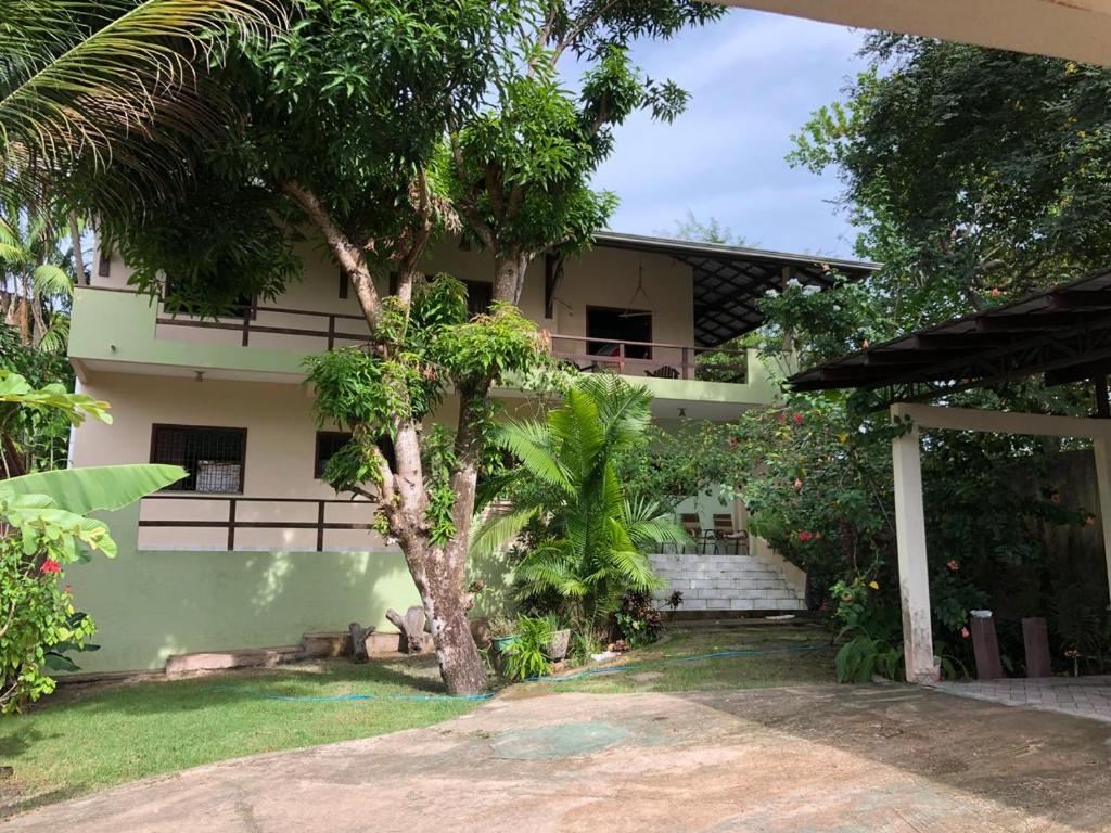 una casa con un albero di fronte di Casa em Alter do chão - lago verde ad Alter do Chão