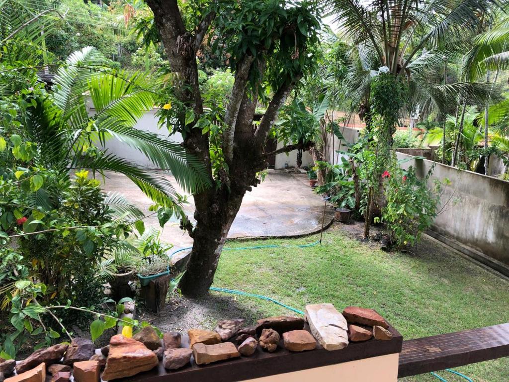  Casa em Alter do chão - lago verde
