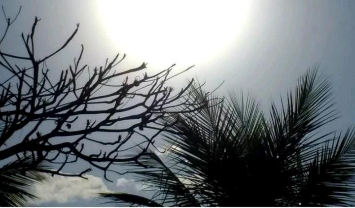  Suíte Nativos Prumirim