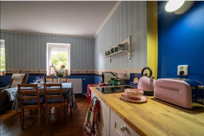 een keuken met blauwe muren en een tafel en stoelen bij Apartmán Moonrise U Mluvících kamenů in Staré Křečany