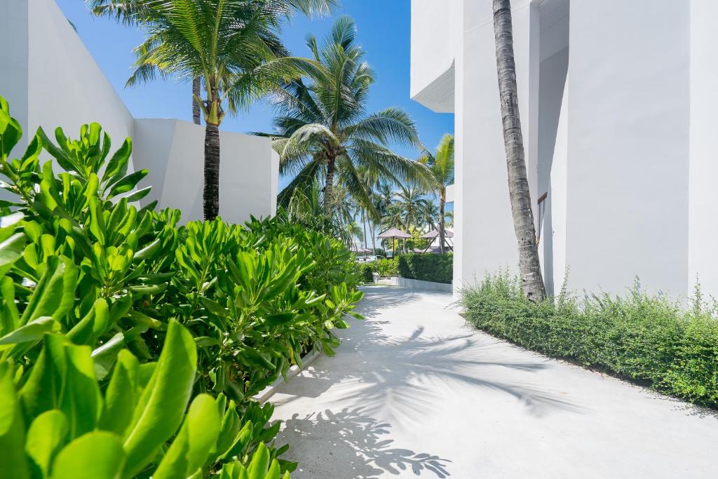 a pathway with palm trees and a building at La Vida Samui in Chaweng