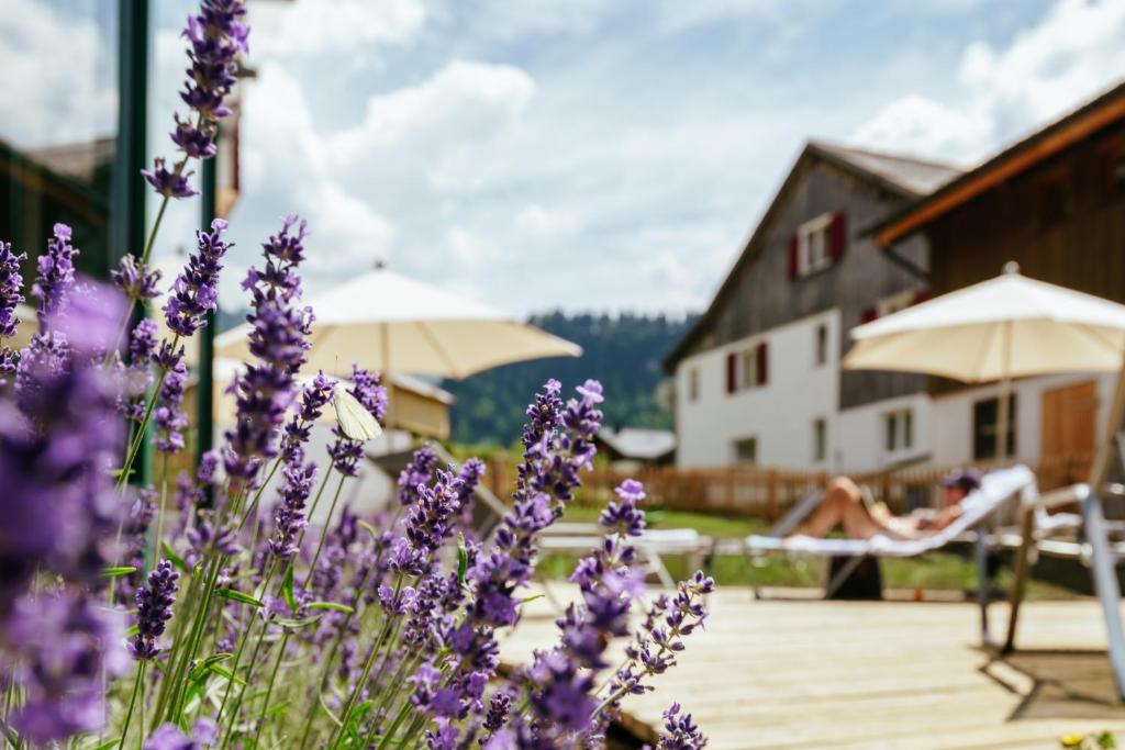Zahrada ubytování Hirschen Wohlfühlhotel Bregenzerwald