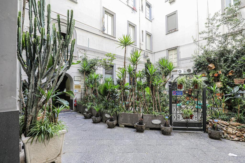 Zahrada ubytování Sanfelice 33 Luxury Suites