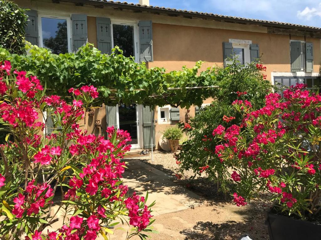 un jardín con flores rosas frente a una casa en La Gatille, en Villié-Morgon