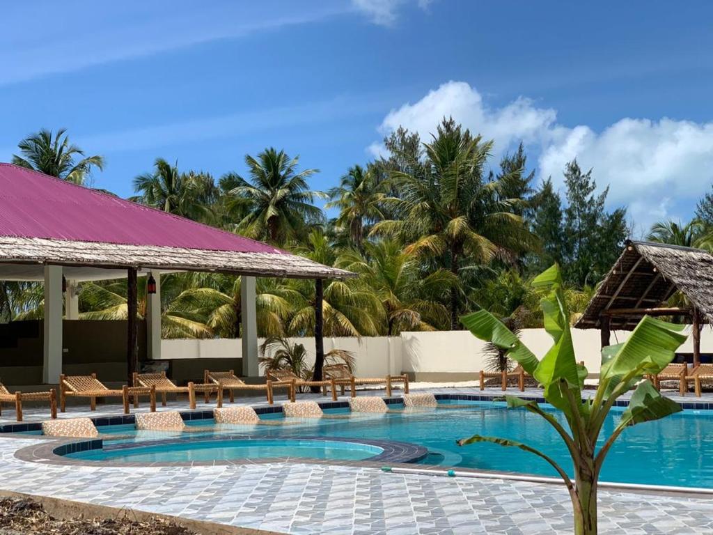 uma piscina num resort com cadeiras e palmeiras em Summer Dream Lodge em Paje