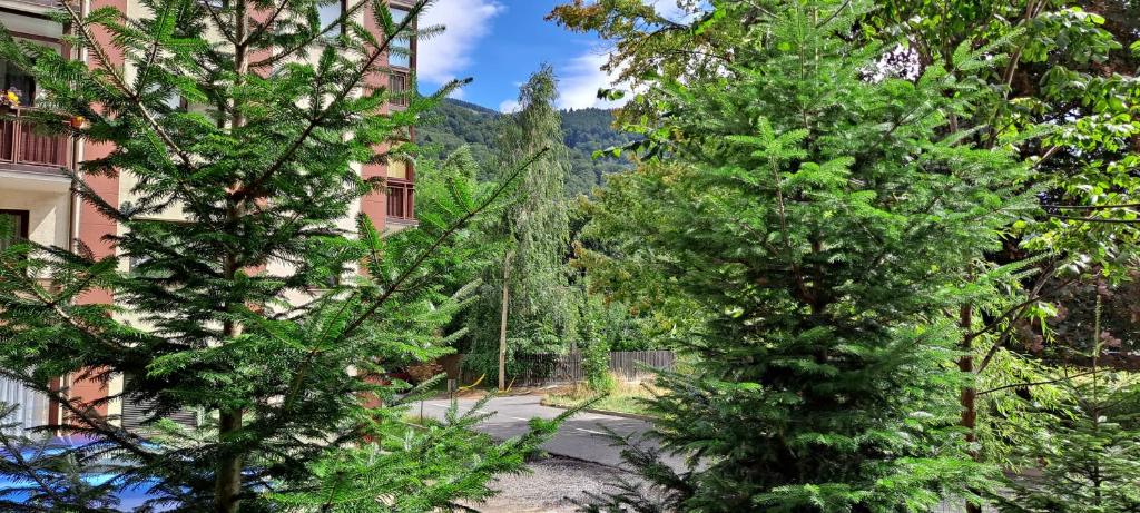 Zahrada ubytování Sinaia Relax Residence