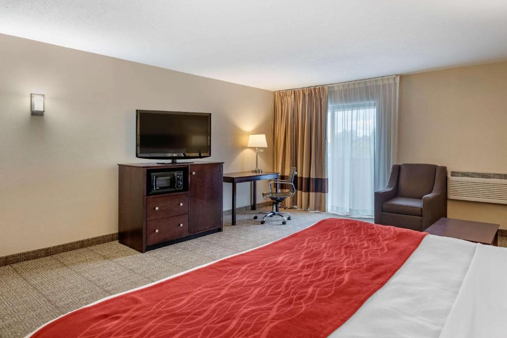 Comfort Inn - King Room With Sofa Bed - Non-Smoking