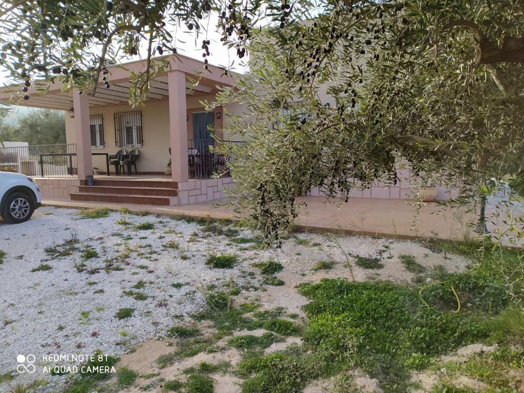 Zahrada ubytování Cortijo Oliveras Moratalla