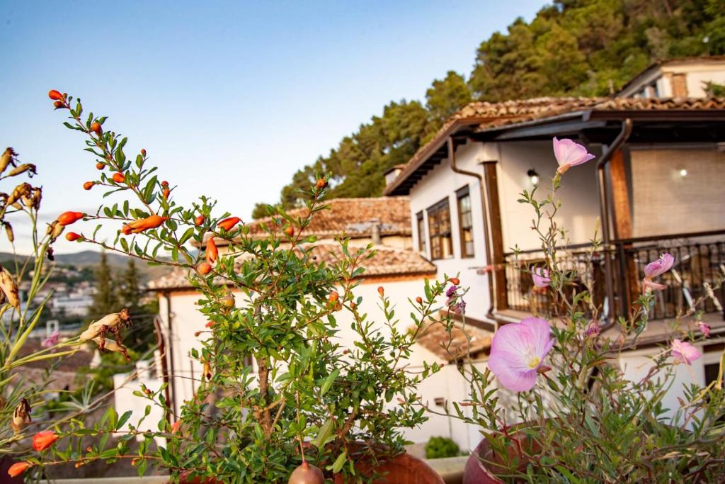 Guesthouse Belle View - Imazhi 5