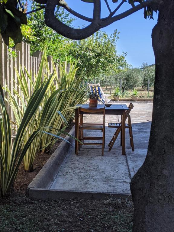 einen Tisch und einen Stuhl neben einem Baum in der Unterkunft Appartamento in Villa in Casalbordino