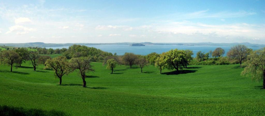 Príroda v okolí farmy
