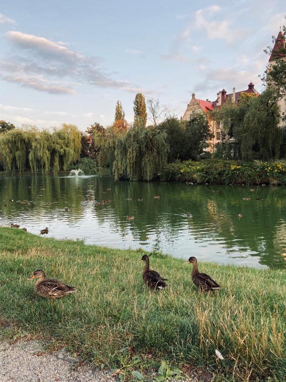 Výhľad na rieku v blízkosti apartmánu