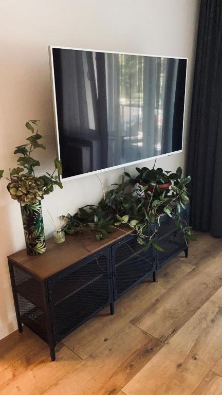 Televízia a/alebo spoločenská miestnosť v ubytovaní Green Sofa Apartment