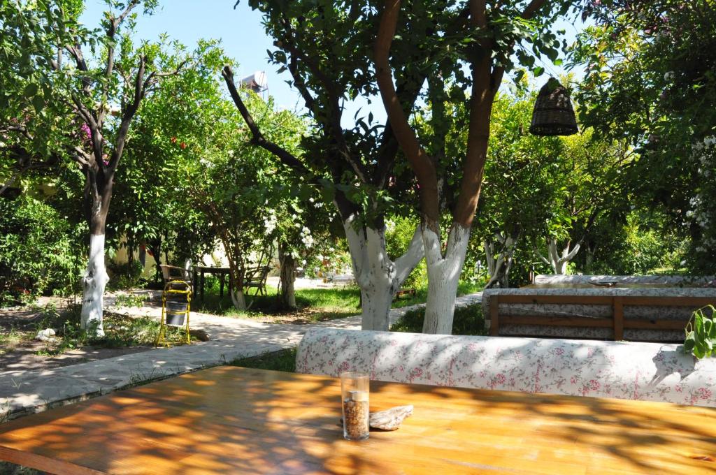 Zahrada ubytování San Simon Hotel