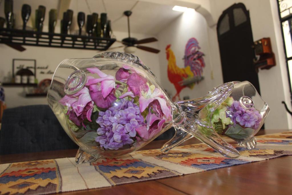 Fotografie z fotogalerie ubytování Casa Akbal B&B v destinaci Mérida