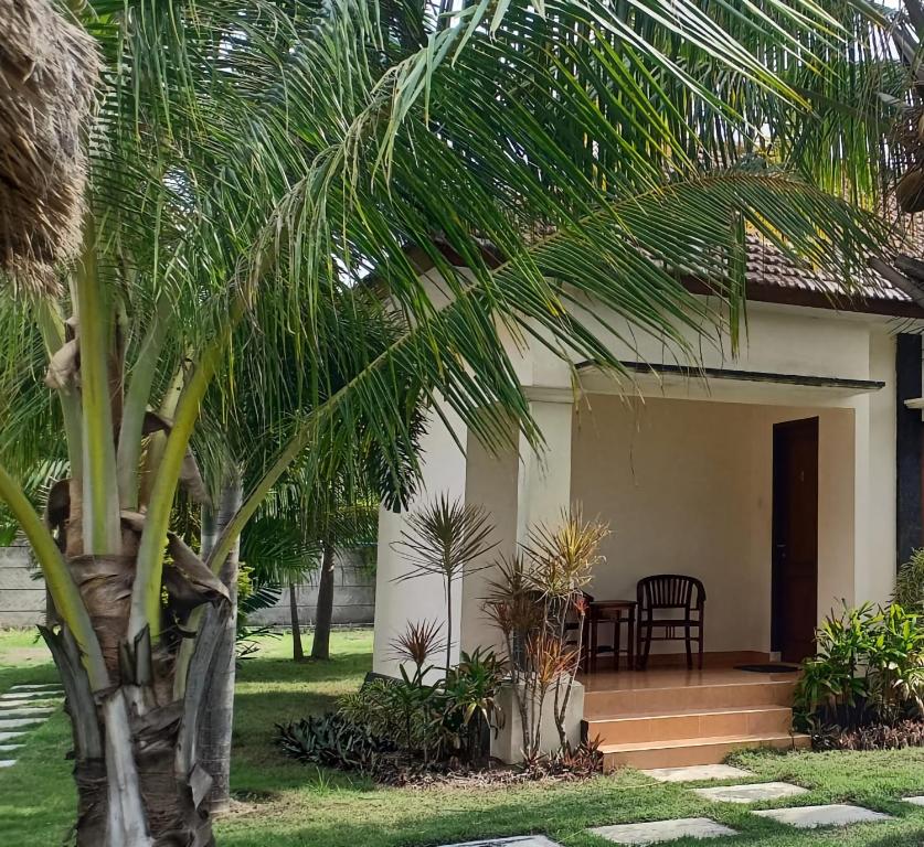Zahrada ubytování Kuta Paradise