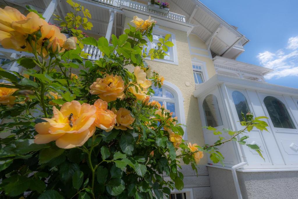 Zahrada ubytování Hotel Garni Hubertus-Nostalgie & Charme