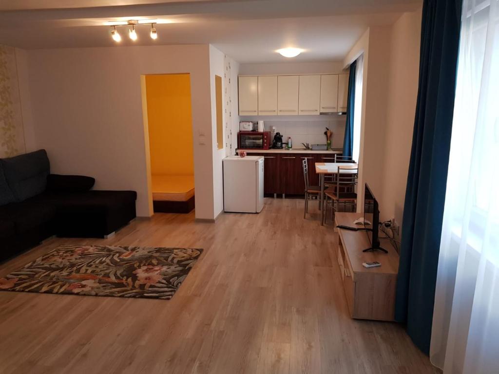 a living room with a couch and a kitchen at Apartament 1 Central in Târgu-Mureş