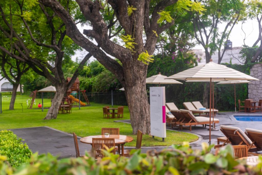 Zahrada ubytování Hotel Flamingo Inn
