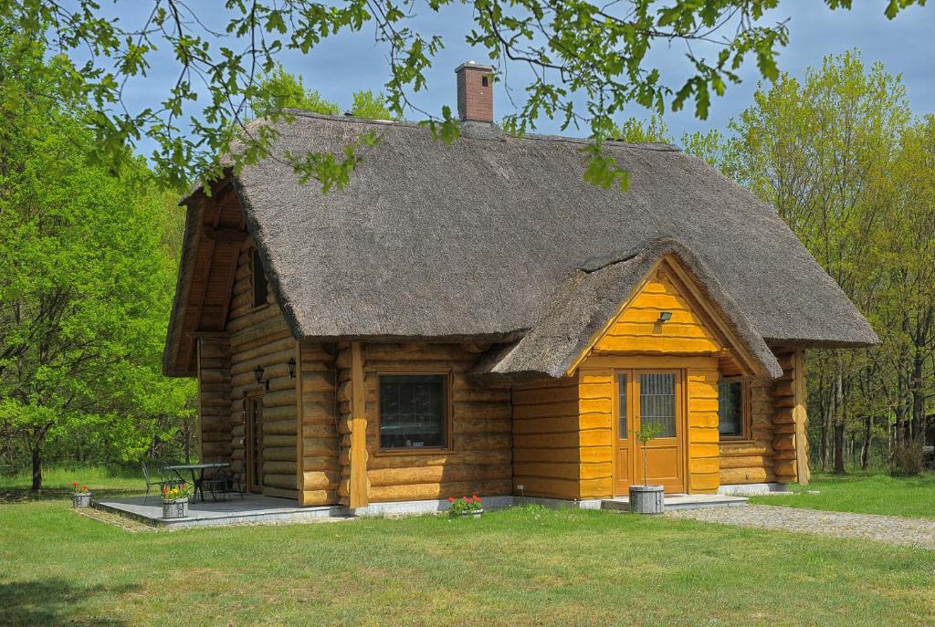 mała chata z bali z dachem w obiekcie Dom pod sosnami w Gryżynie