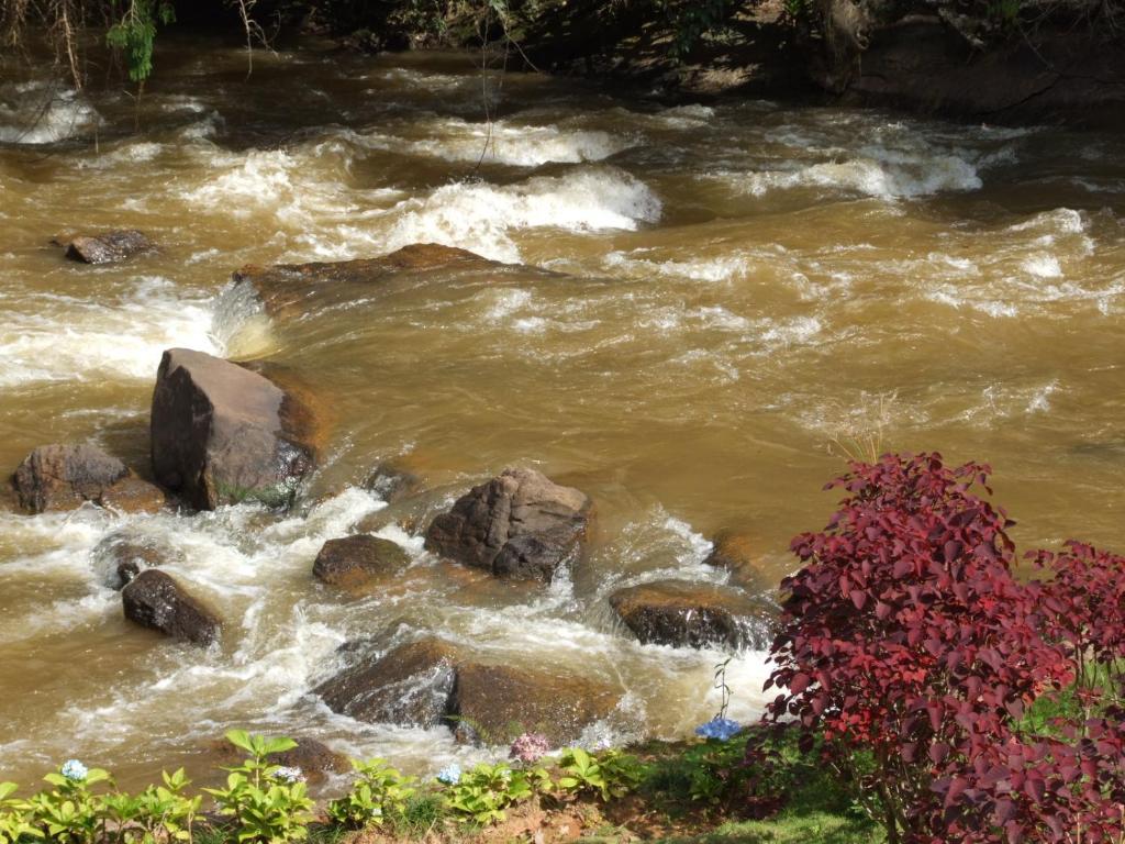  Sítio Canto das Águas