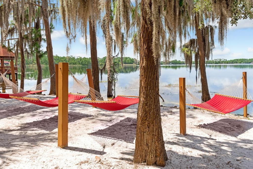 a group of hammocks on a beach next to a tree at Grand Beach Resort in Orlando