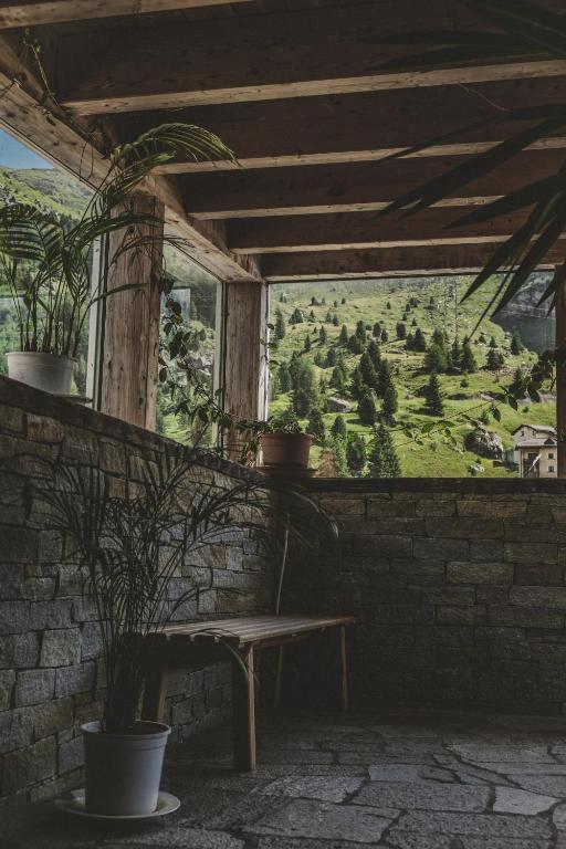 Zahrada ubytování Ferienwohnung Grischuna