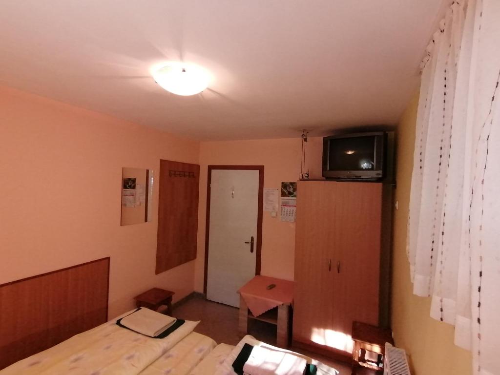 TV a/nebo společenská místnost v ubytování Aleks Guest House