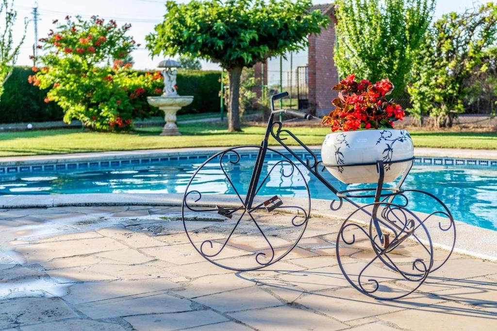 ein Blumentopf auf einem Stuhl neben einem Pool in der Unterkunft Cal Soi in Lleida