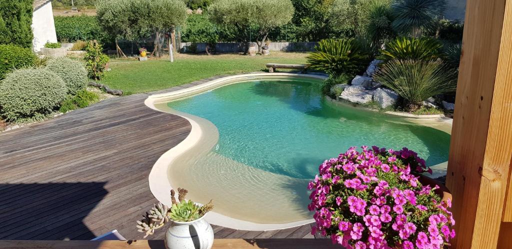een klein zwembad op een terras met bloemen bij LE CLOS DES VIGNES in Junas
