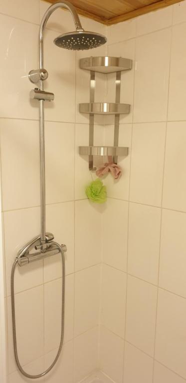 a shower in a bathroom with a shower head at Estudio Tanner in Pedrógão Grande