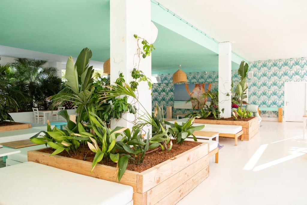 The Beach Star Ibiza - Adults Only, San Antonio Bay – Updated ...