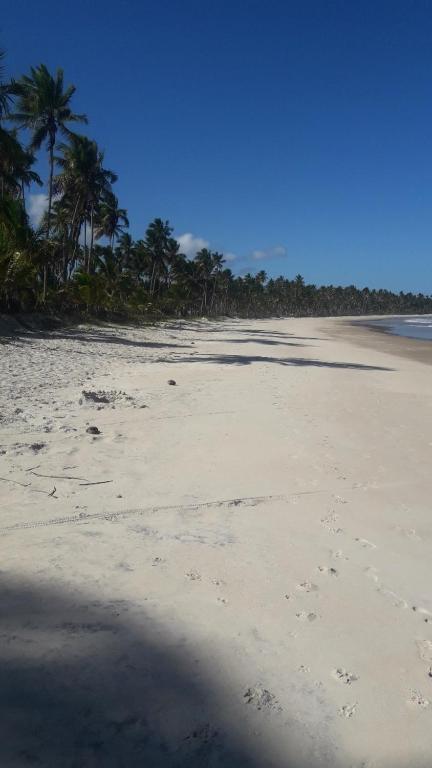  Beach Ilhéus Ponta da Tulha