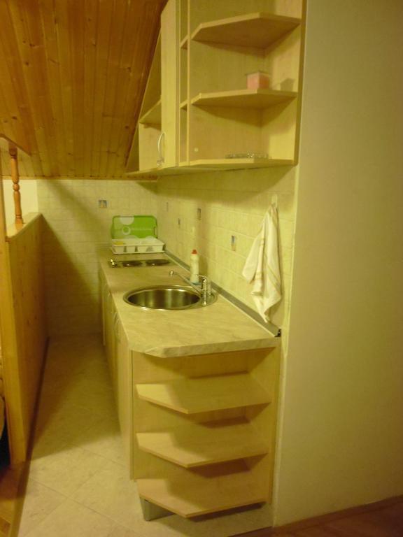Kuchyň nebo kuchyňský kout v ubytování Guesthouse Mali Raj