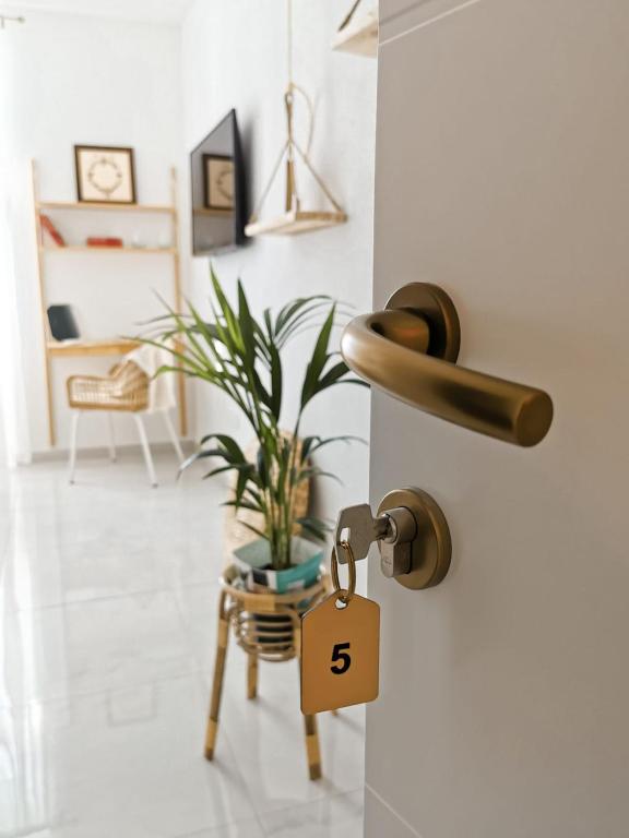 a key on a door with a plant on a stool at Litore in Pula