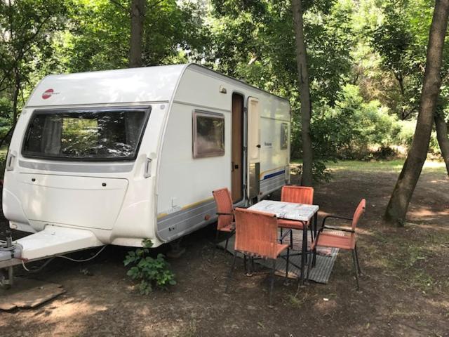 uma caravana branca com uma mesa e cadeiras numa floresta em Tisza-beach wild camping4 em Szeged